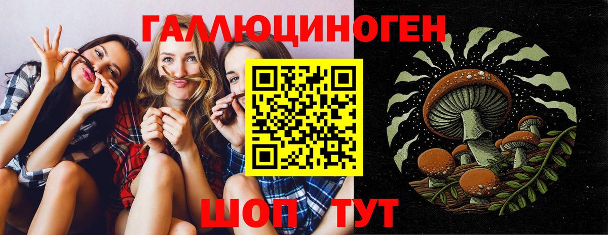 Псилоцибиновые грибы Psilocybine cubensis  Вход с VPN  Брянск 